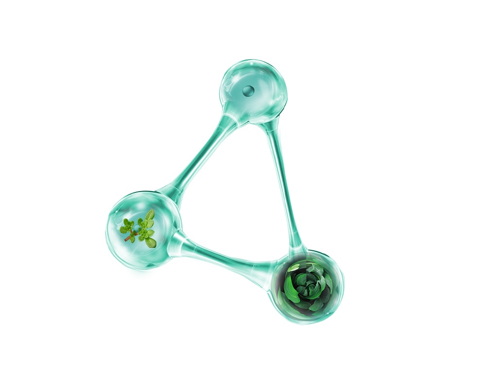 協(xié)和護膚品協(xié)和西敏修護冷凝膠 涂一涂 輕松應對三伏天